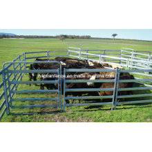 5 Bar Cattle Rail 1.6m Painel de gado alto